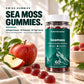 Seamoss – Fruchtgummis mit Sea-Moss-Extrakt, Vitamin C, Vitamin D3 und Jod